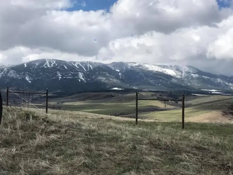 Barbed wire fence line, Columbus MT